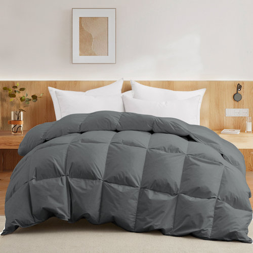 Alwyn Home 600 Fill Power All Seasons Down Comforter & Reviews Wayfair